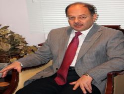 "Domuz Gribine Yakalananların Çoğu Hastalığı Hafif Geçirecek"