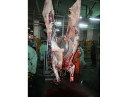 Kurbanlıklar Mobil Ünitede Kesilecek