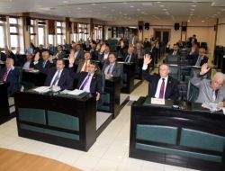 Samsun İl Genel Meclisi, Turna Balığının Korunmasını Gündemine Aldı