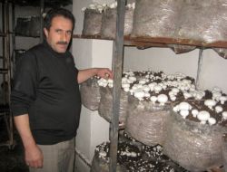 Ulusal Marketlerin Kültür Mantarı Erzurum'dan