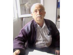 ZEYTİN HASADI BAŞLADI