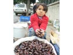 Kestane Pazarda Yerini Aldı
