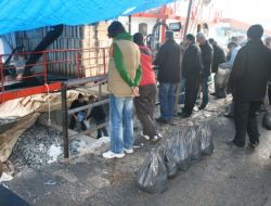 Zonguldak'ta Torbası 5 Liraya Hamsi