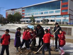Öğrenciler Okullarının Bahçesine 200 Fidan Dikti