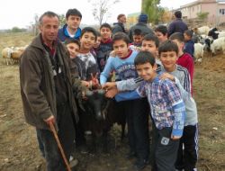 Öğrenciler, Van’a Kurbanlık Gönderdi