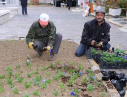 Karaman'da Yeşil Alanlar Çiçekleniyor
