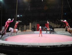 Büyük Ankara Sirki Başlıyor!