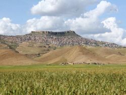 Mardin Ovası 2012 Yılında Gap Suyuna Kavuşuyor