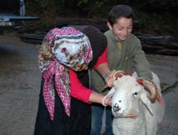 Kaymakamlık, Yetim Ve Öksüzlerin Yüzünü, Kırmızı Kurdelalı Koçlarla Güldü