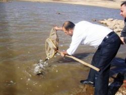 25 Bin Sazan Balığı Göletlere Bırakıldı