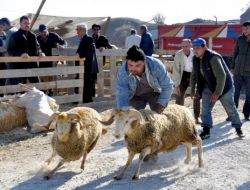 Kurbanlık Hayvan Pazarında Arefe Günü Hareketliliği