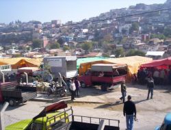 Kurbanlık Pazarlıkları Son Günlere Kaldı