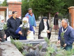 Mezar Ziyaretine Gelenlere Ücretsiz Fidan Dağıtıldı