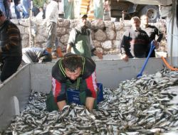 Zonguldak'ta Balık Bayramı