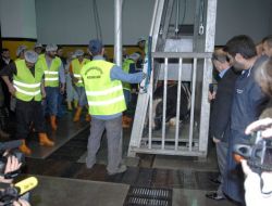 Monoray Sistemde Kurban Kesim Tatbikatı (2)