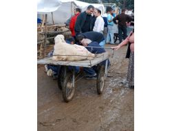 Kurban Pazarı Bataklığa Döndü