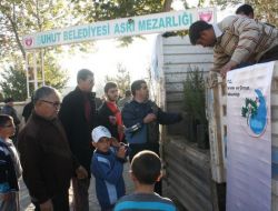 Şuhut Asri Mezarlığı'nda 1000 Adet Çam Fidanı Dağıtıldı