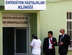 Türkiye'de Domuz Gribinden  İlk Ölüm