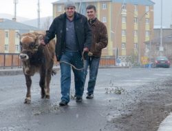 Ardahan Bayramı Karla Karşıladı