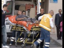 Acemi Kasaplar Damgasını Vurdu