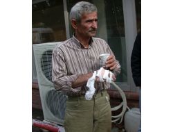 Kurban Yerine Kendilerini Kesen 23 Kişi Hastanelik Oldu