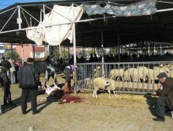 Edremit'te Bir Yandan Kurbanlıklar Satılırken Bir Yandan Kesim Yapıldı