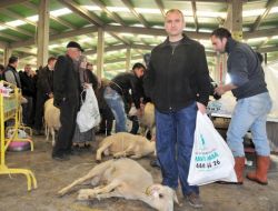 Kurban Kesim Alanları Kolaylık Sağlıyor