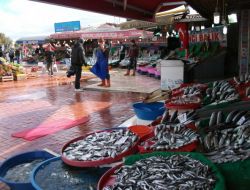 Kurban Bayramında Balık Satışları Düştü