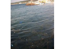 Toplanmayan Çöpler Denizde Birikiyor