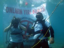 Yunuslara Özgürlük İçin Daldılar
