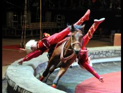 Ankaralılar Moskova Sirki İle Keyifli Dakikalar Geçirdi