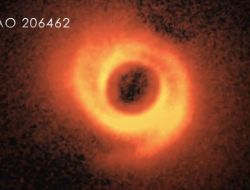 Gizemli Uzantıları Olan Yeni Bir Yıldız Keşfedildi