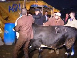 'Av Mevsimi'nin Cinayet Masası Dedektifinin Kurbanlık Kavgası