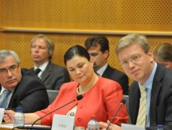 Ap’de Türkiye’den Sonra Bosna-hersek Dostları Grubu Kuruldu