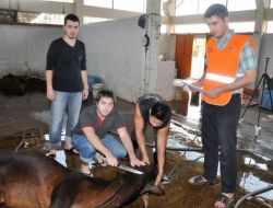 Taylandlı Selzedelere Kurban Yardımı