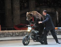 Başkent'te Sirk Coşkusu Sürüyor..