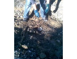 Diyarbakır’da 60 Ton Kaçak Akaryakıt