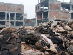 Şehir Merkezindeki Tabakhaneler Derileri Sokağa Yığdı, Vatandaş Tepki Gösterdi