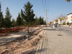 Balkız, Gazikent Bölgesinin En Büyük Parkı Olacak