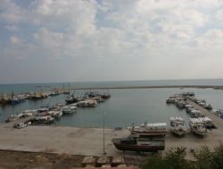 İskenderunlu Balıkçının Ağına Heron Takıldı