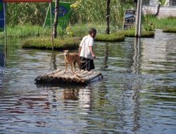 Sular Altındaki Tayland’dan Manzaralar