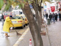 Çöpçülerin İstediği Oldu, Şehre Yaprak Dökmeyen Ağaçlar Dikiliyor (Özel)