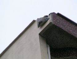 Hopa’ya Yıldırım Düştü Can Kaybı Olmadı