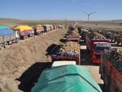 Boğazlıyanlı Pancar Üreticileri Mağdur