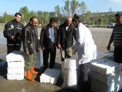 BELEDİYE OPERASYON YAPTI