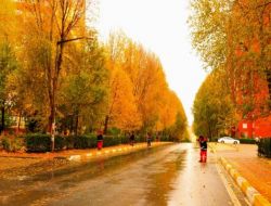 Beylikdüzü'nde Sonbahar Manzaraları