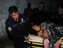 Karaoğlan İsimli Rottweiler Cinsi Köpek Sahibini Hastanelik Etti