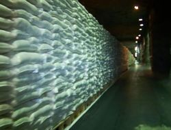 Devlet Sırrı Gıda Rezervi Deposu