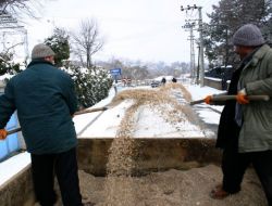 Meram Belediyesi, Kış Nedeniyle Acil Müdahale Ekibi Kurdu