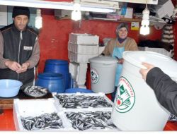 Balık Kokusuna Kovalı Çözüm